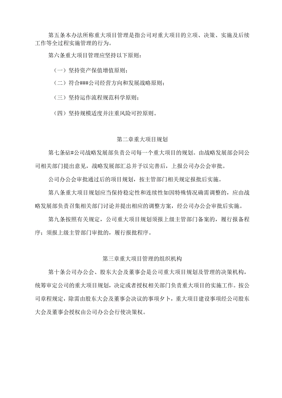 重大项目管理办法.docx_第2页