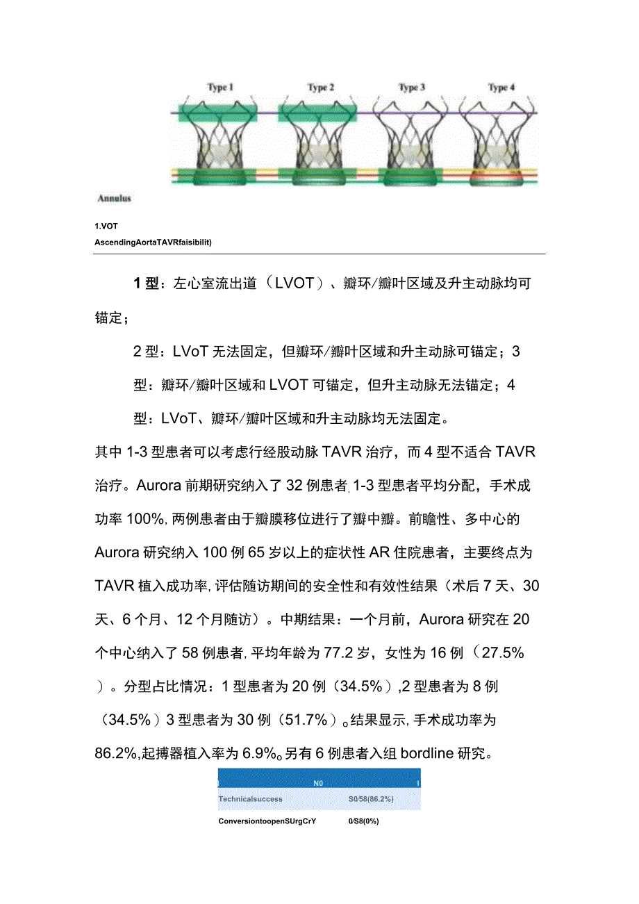 最新：TAVR优化策略的中国方案.docx_第3页