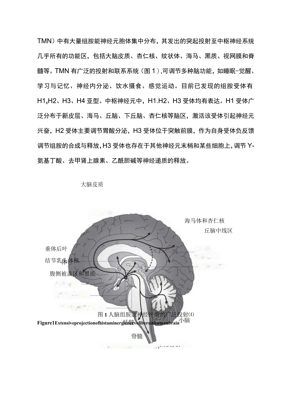 甲磺酸倍他司汀治疗眩晕症的专家共识2023（最全版）.docx_第3页