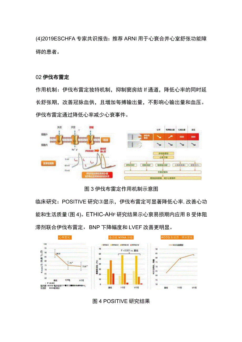 2023慢性心力衰竭的药物治疗进展.docx_第3页