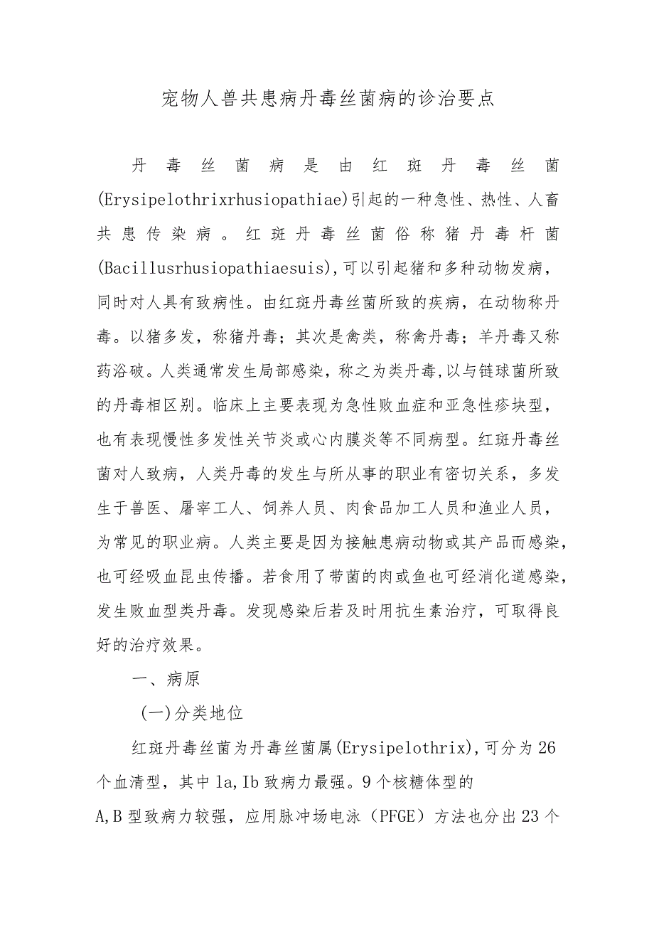 宠物人兽共患病丹毒丝菌病的诊治要点.docx_第1页