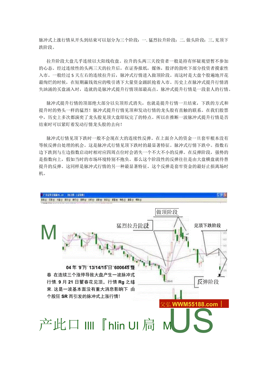 股票看盘绝招──脉冲式行情.docx_第3页