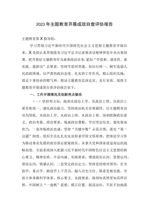 2023年主题教育开展成效自查评估总结报告.docx