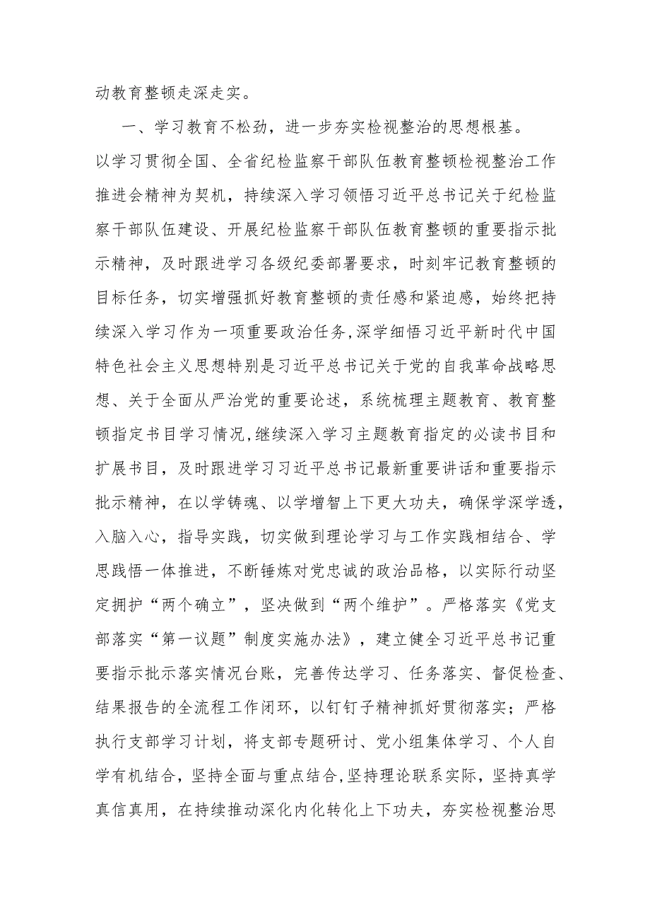 纪检监察干部传达学习贯彻教育整顿检视整治工作推进会精神发言材料.docx_第2页