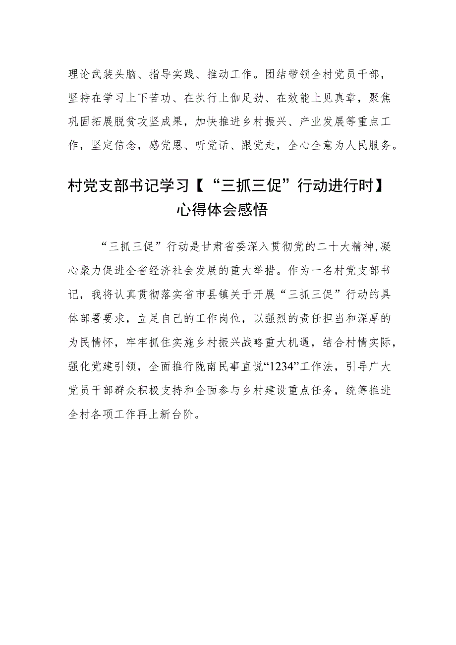 村党支部书记“三抓三促”进行时心得体会(通用三篇).docx_第2页