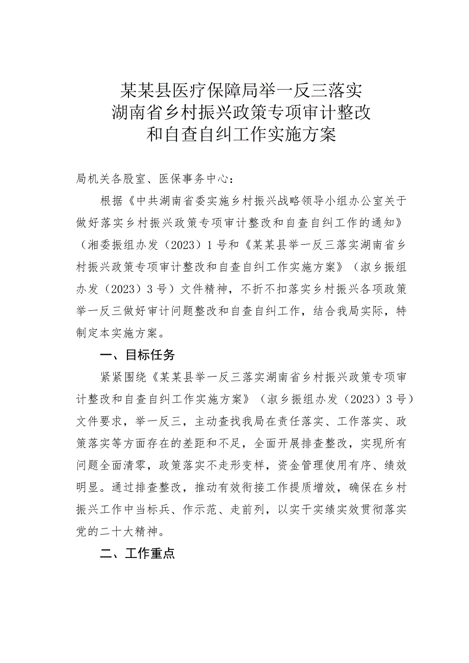 某某县医疗保障局举一反三落实湖南省乡村振兴政策专项审计整改和自查自纠工作实施方案.docx_第1页