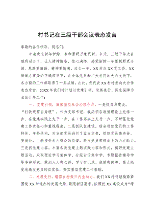 村书记在三级干部会议上的表态发言.docx