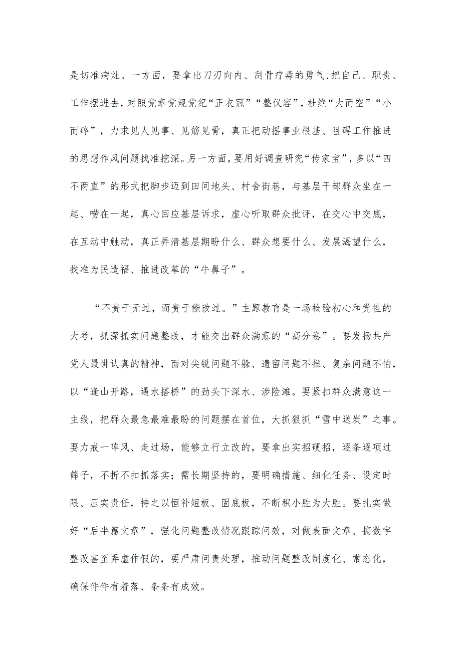 贯彻落实主题教育整改整治工作推进会精神心得体会.docx_第2页