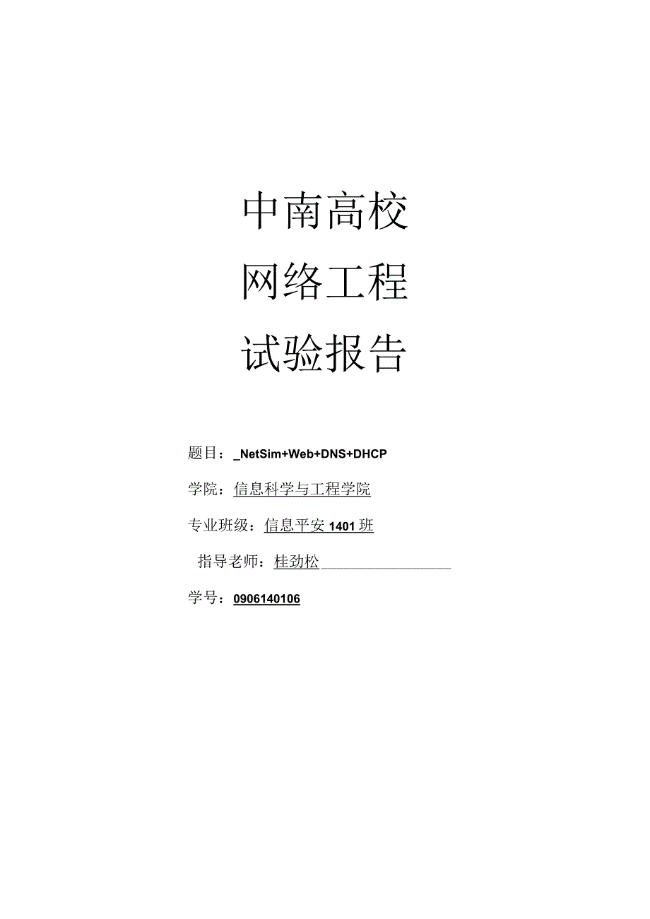 中南大学网络工程实验报告.docx_第1页