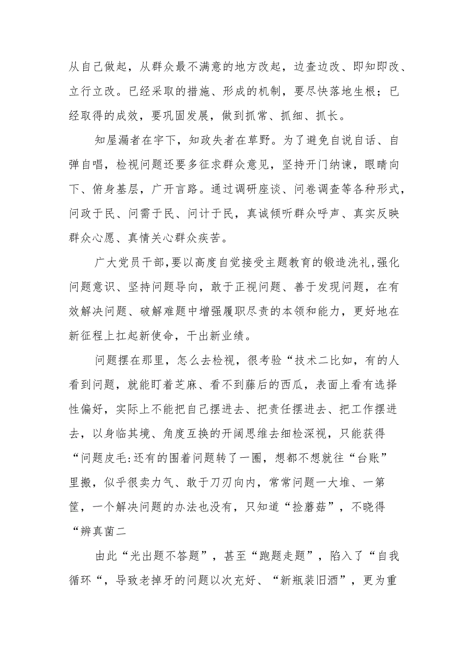 主题教育检视问题、整改落实学习心得体会发言.docx_第2页