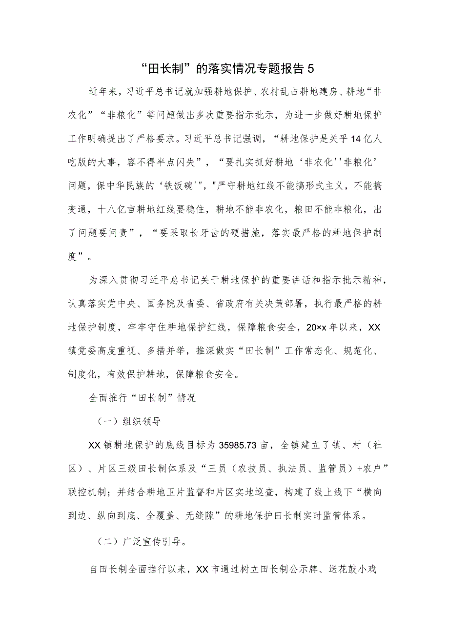 “田长制”的落实情况专题报告五.docx_第1页