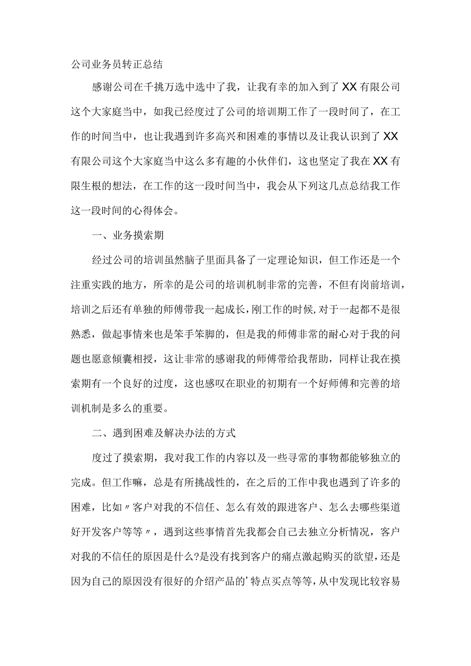 公司业务员转正总结.docx_第1页