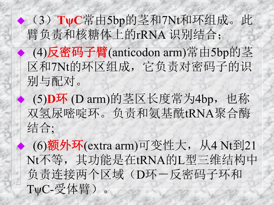 遗传密码和翻译系统.ppt_第2页