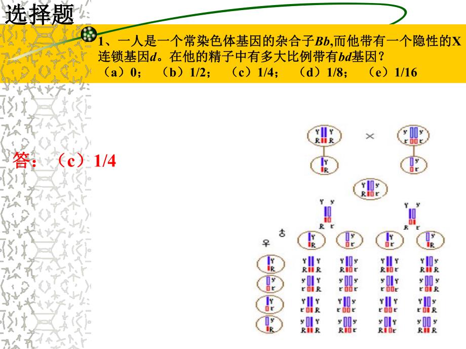 遗传学练习讲解.ppt_第1页