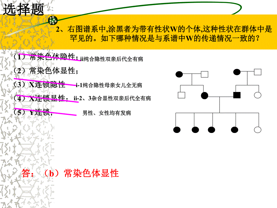 遗传学练习讲解.ppt_第2页