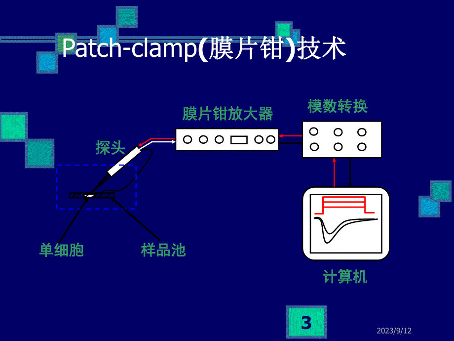 钙通道阻滞药.ppt_第3页