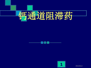 钙通道阻滞药.ppt