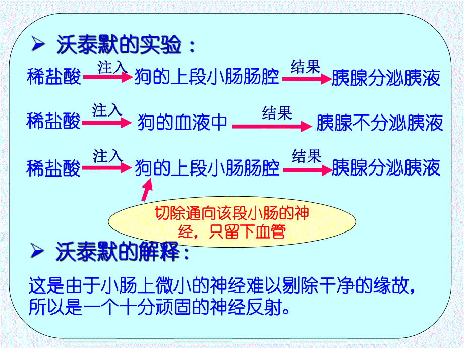 通过激素的调节2.ppt_第3页