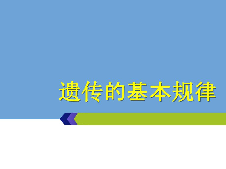 遗传基本规律补.ppt_第1页