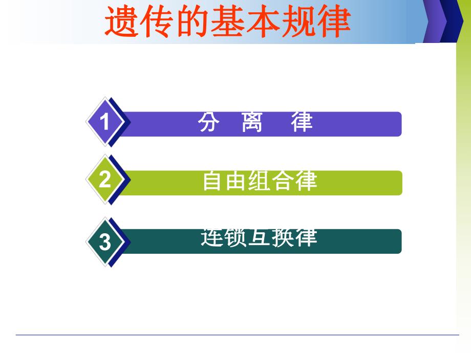 遗传基本规律补.ppt_第2页