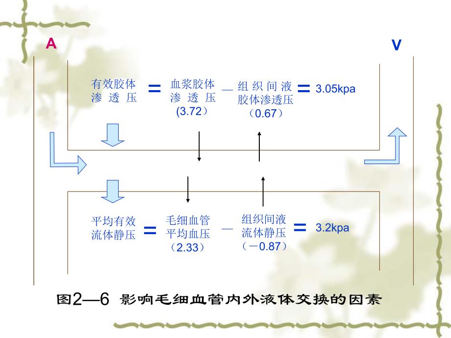 过多的液体在组织间隙或体腔中积聚.ppt_第2页