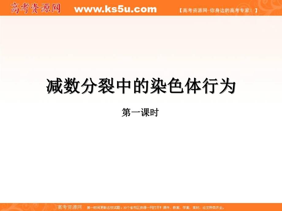 遗传与进化减数分裂中的染色体行为.ppt_第1页