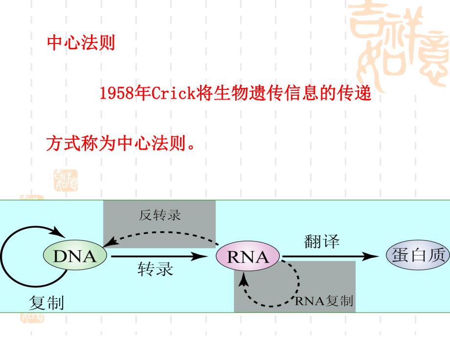 遗传物质核酸.ppt_第3页