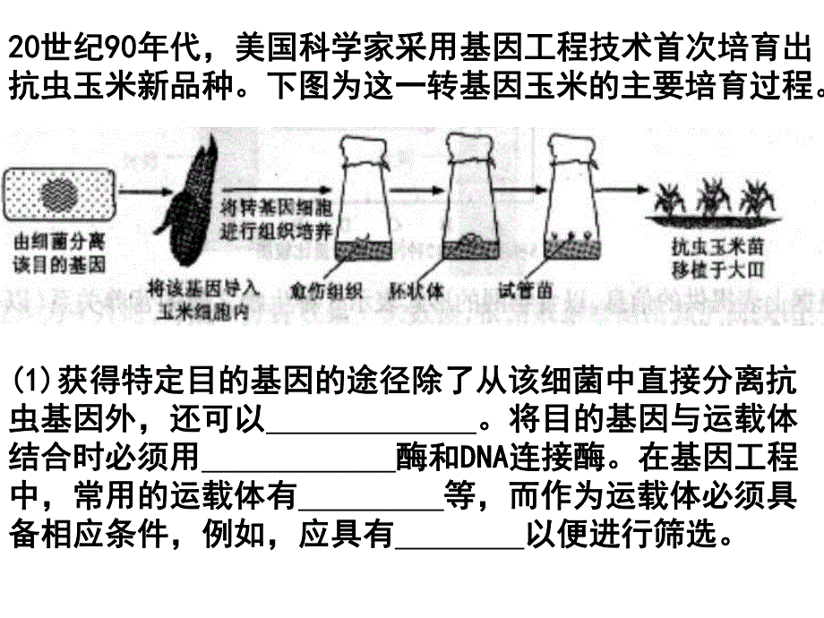 选修三复习网路wg.ppt_第2页