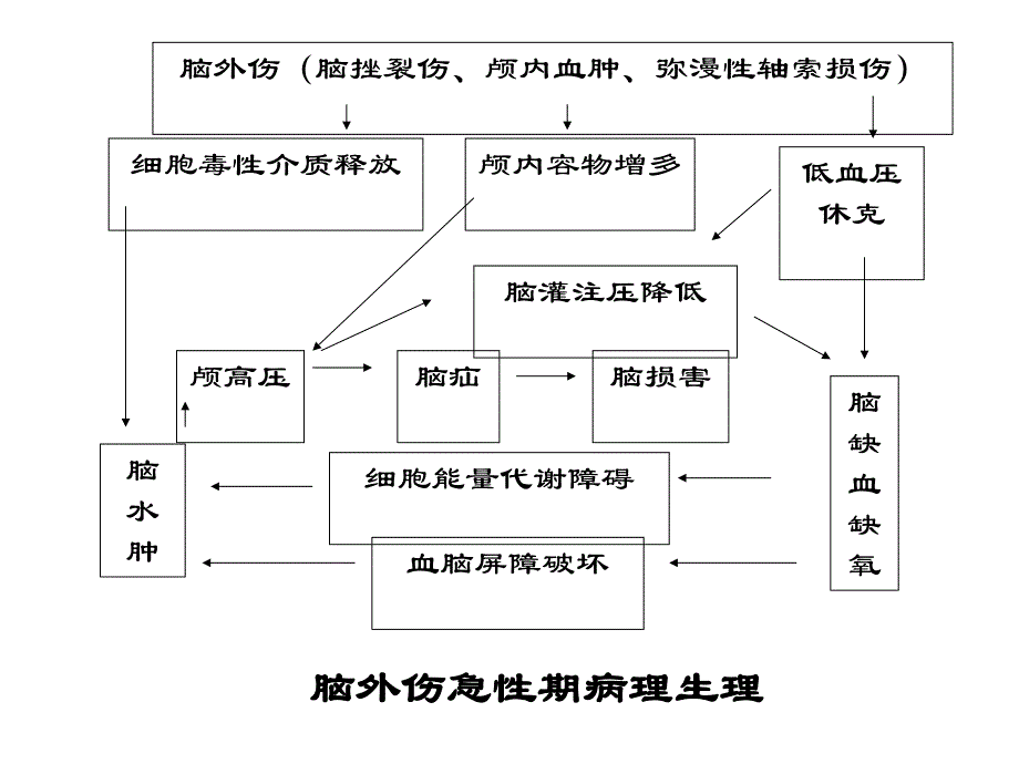 高压氧在恶性肿瘤治疗中的应用.ppt_第3页