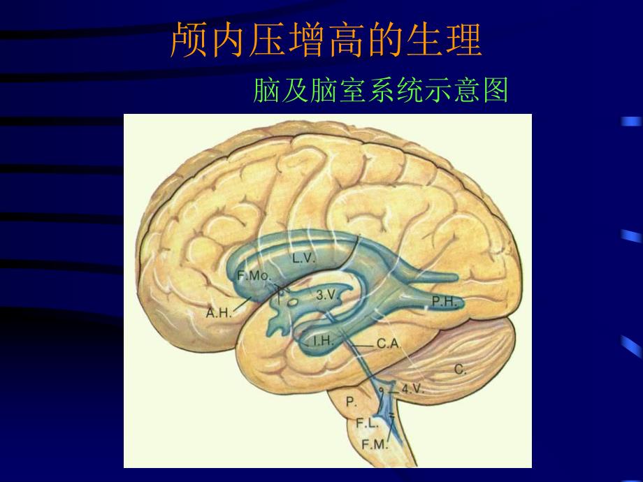 颅内压增高症.ppt_第3页