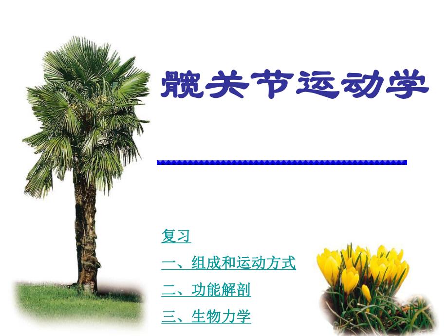 髋关节运动学.ppt_第1页