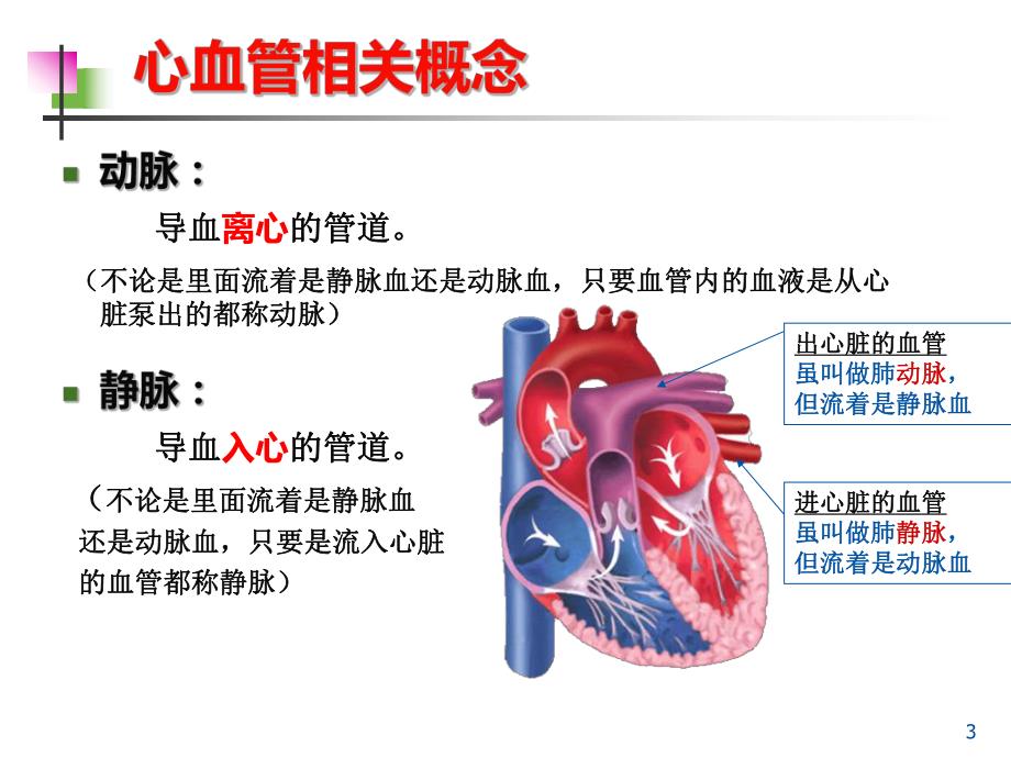 高血压性心脏病的超声诊断要点.ppt_第3页