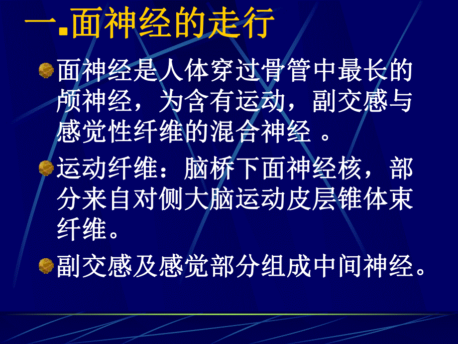 面神经解剖.ppt_第2页