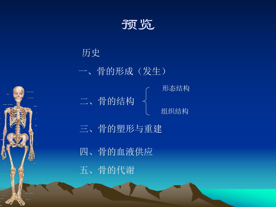 骨的结构和功能.ppt_第2页