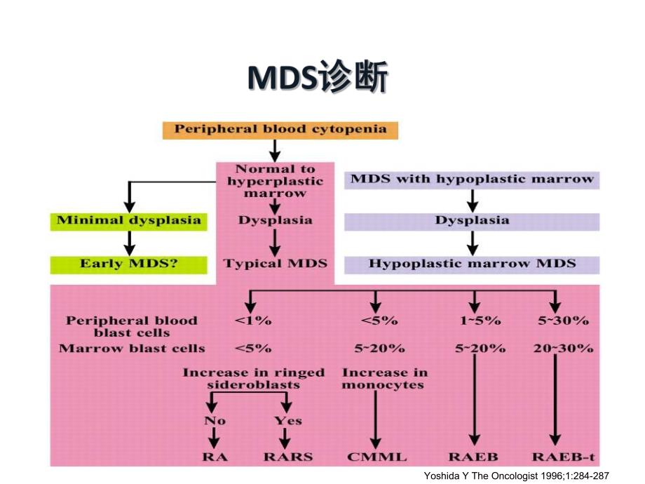 骨髓增生异常综合征的诊治进展.ppt_第3页