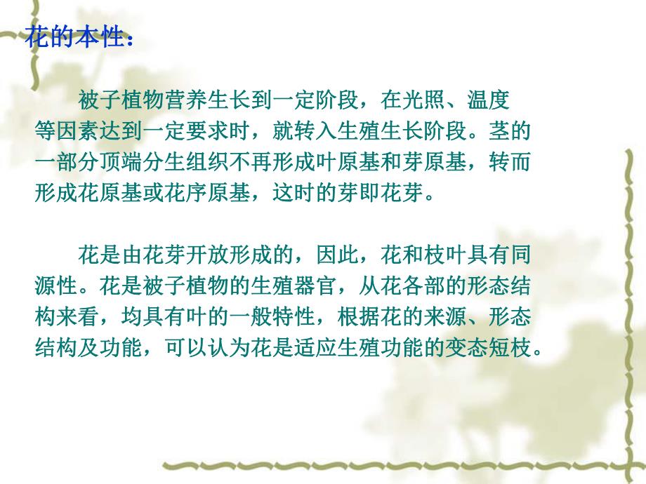 花的形态结构.ppt_第3页