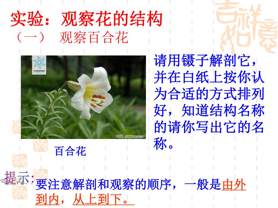 花的结构和类型.ppt_第3页