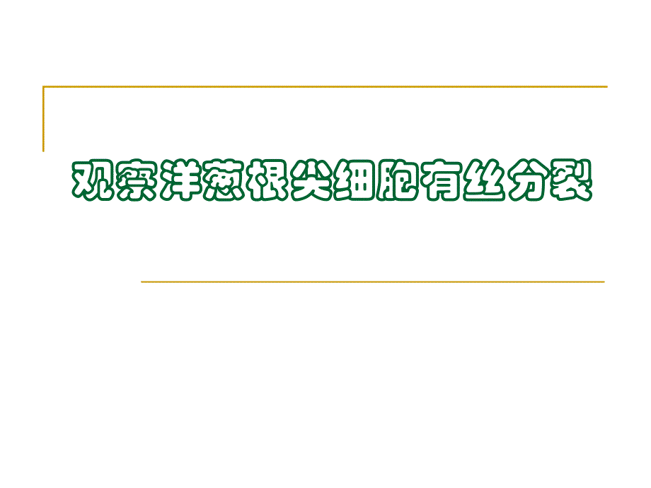 观察植物细胞的有丝分裂.ppt_第1页