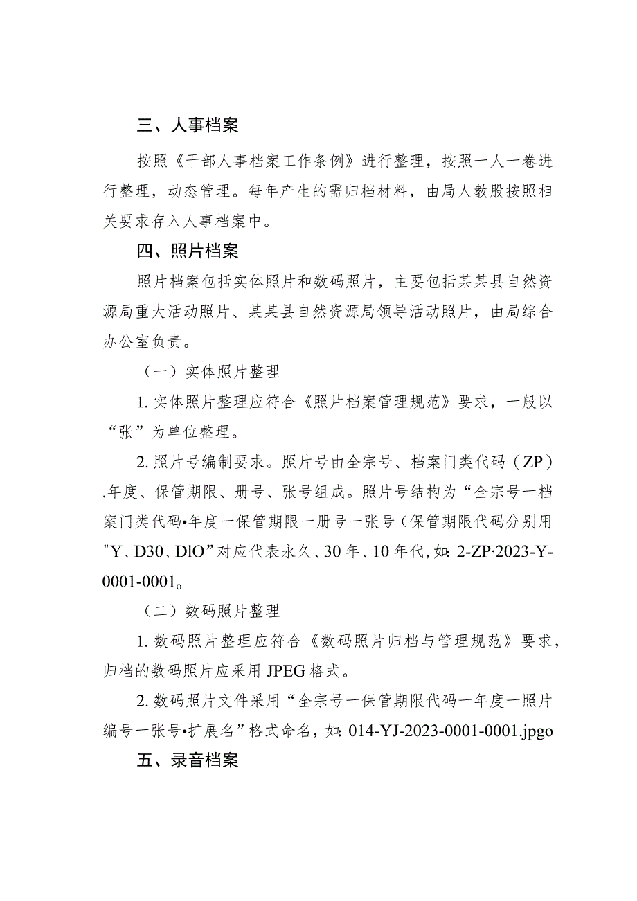 某某县自然资源局档案分类方案.docx_第2页