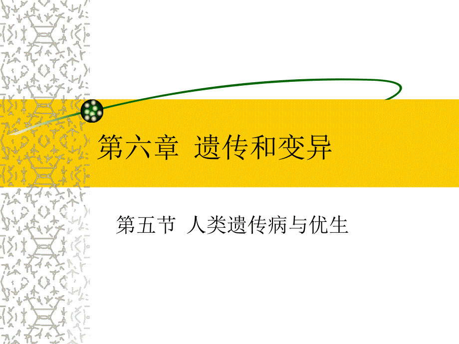 苏教版教学课件第五节人类遗传病与优生.ppt_第1页