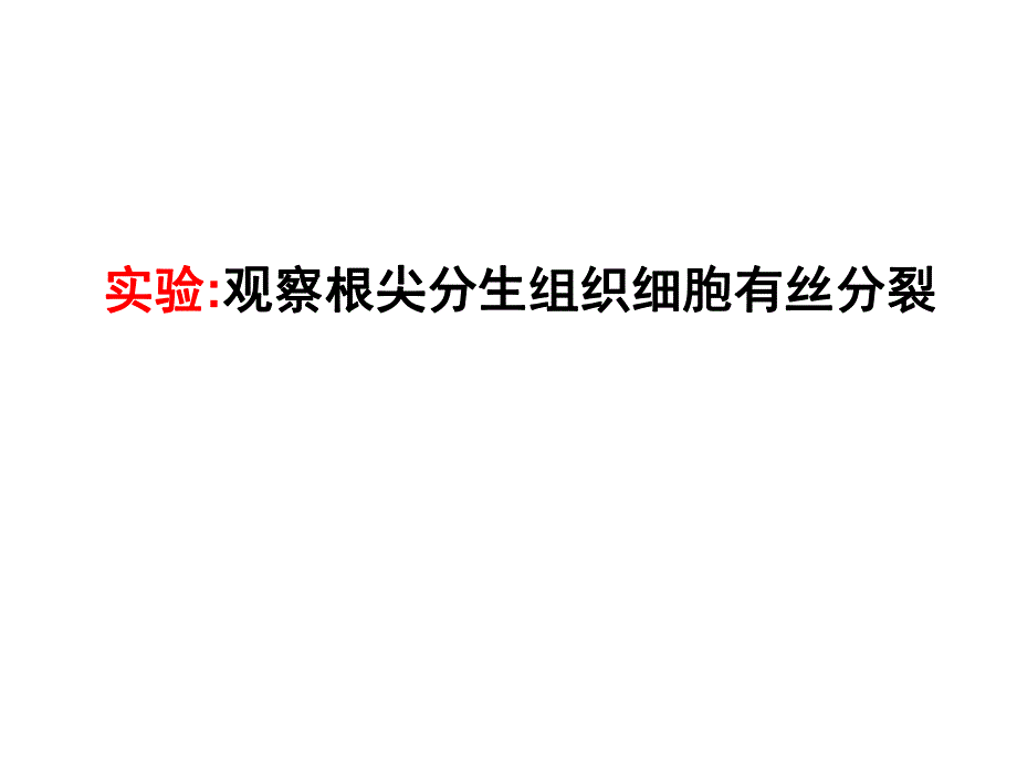 观察根尖分生组织细胞有丝分裂.ppt_第1页