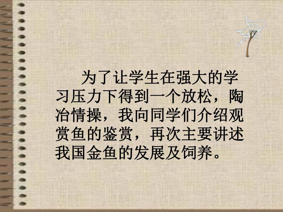 观赏鱼的养殖.ppt_第2页