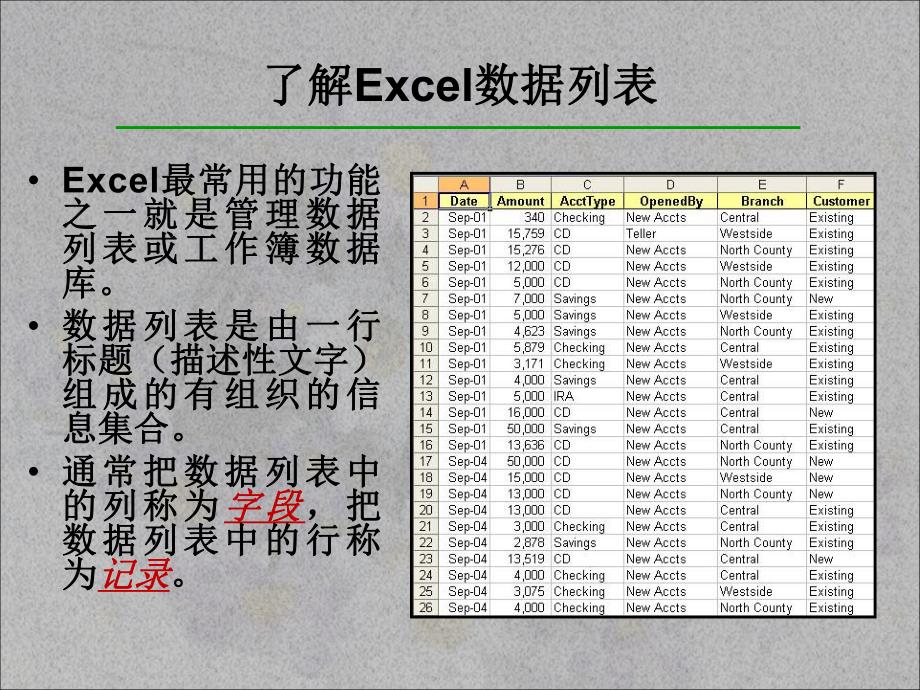 计算机基础使用excel进行数据分析.ppt_第3页