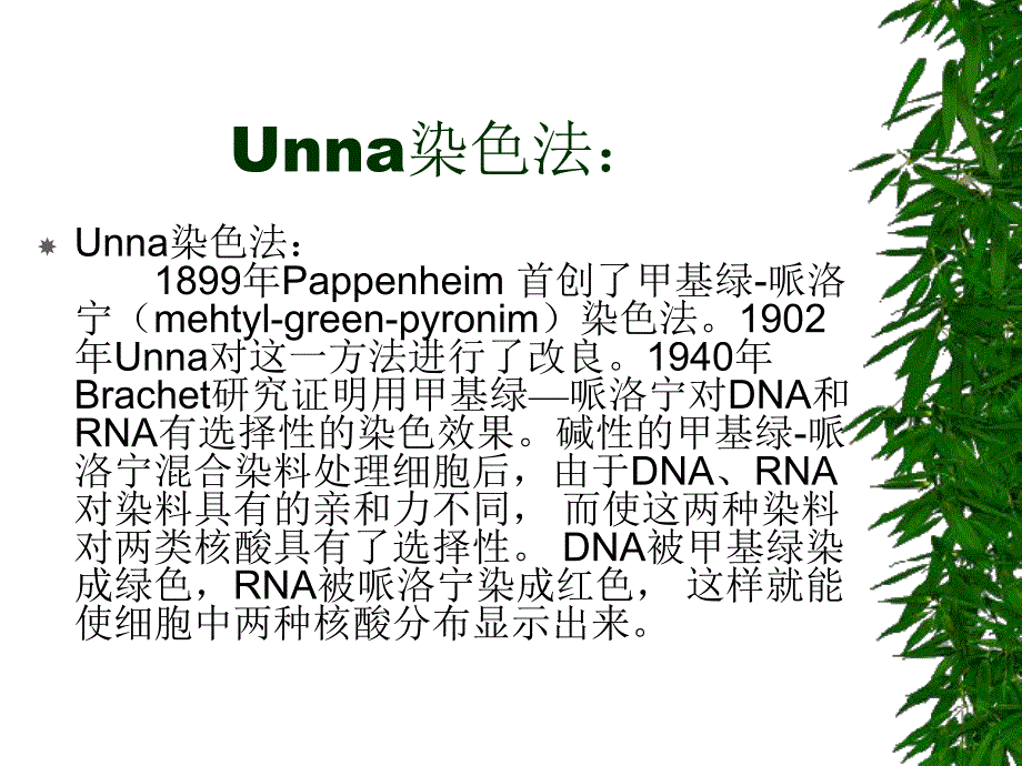 观察细胞中DNA和RNA的分布.ppt_第2页