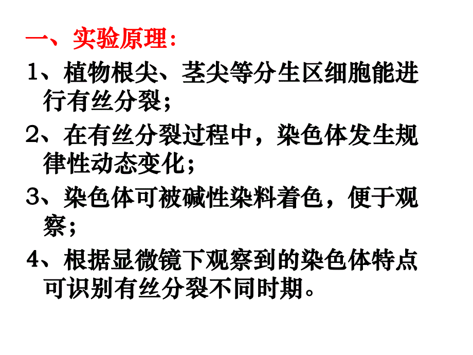 观察植物细胞的有丝分裂.ppt_第2页