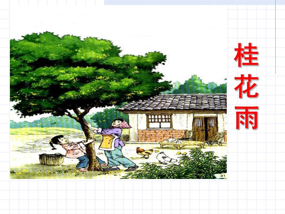 苏教版桂花雨PPT课件.ppt_第2页