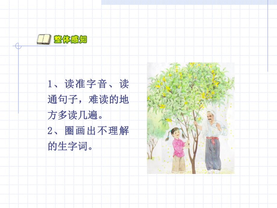 苏教版桂花雨PPT课件.ppt_第3页