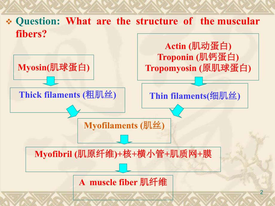 解破学21总论.ppt_第2页