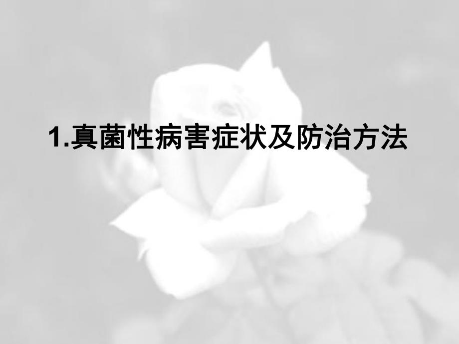 花卉病害防治.ppt_第3页