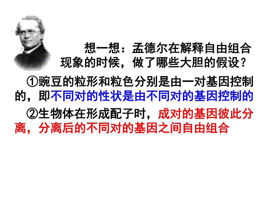 苏教版教学课件基因自由组合定律二.ppt_第2页